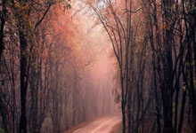 开云下载-南亚绿茵觉醒：从陪跑到破局的足球逆袭