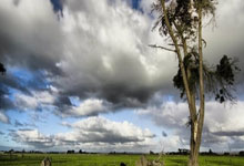 开云体育官网-蒙特雷调整进攻阵容，应对强力防守