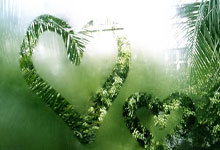 开云体育中国-切尔西公布夏季计划，球队蓄势待发