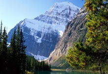 开云体育官方网站-卡尔蒂斯中场大将伤愈复出，战帕尔梅拉斯阵容稳固