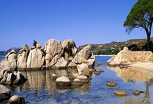 开云体育官方网站-帕尔梅拉斯调整后防线，迎战欧洲豪门难度加大