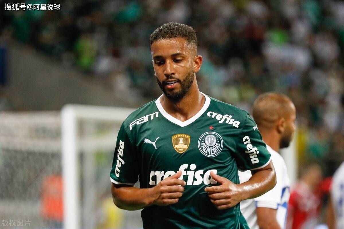 数据分析:帕尔梅拉斯历史战绩与本届展望的简单介绍 数据分析:帕尔梅拉斯历史战绩与本届展望的简单介绍