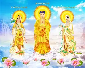 开云体育app-圣鲁尔对阵维尔贝克：瑞克之争攸关胜利大势的简单介绍