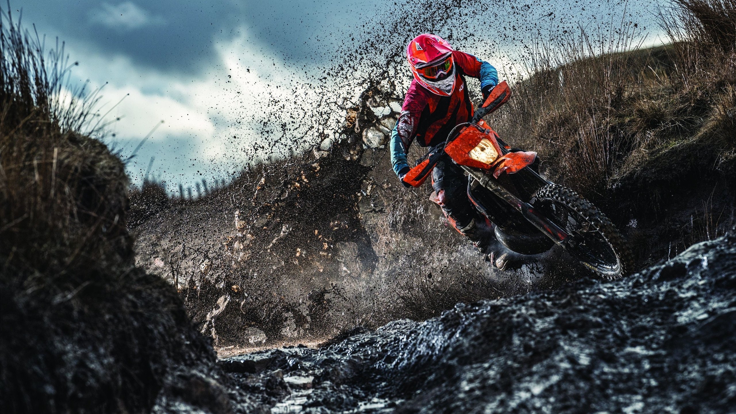 开云APP-蜂芒毕露，逆袭绿军！贝恩三分雨浇灭北岸花园，一场惊艳四座的平民盛宴