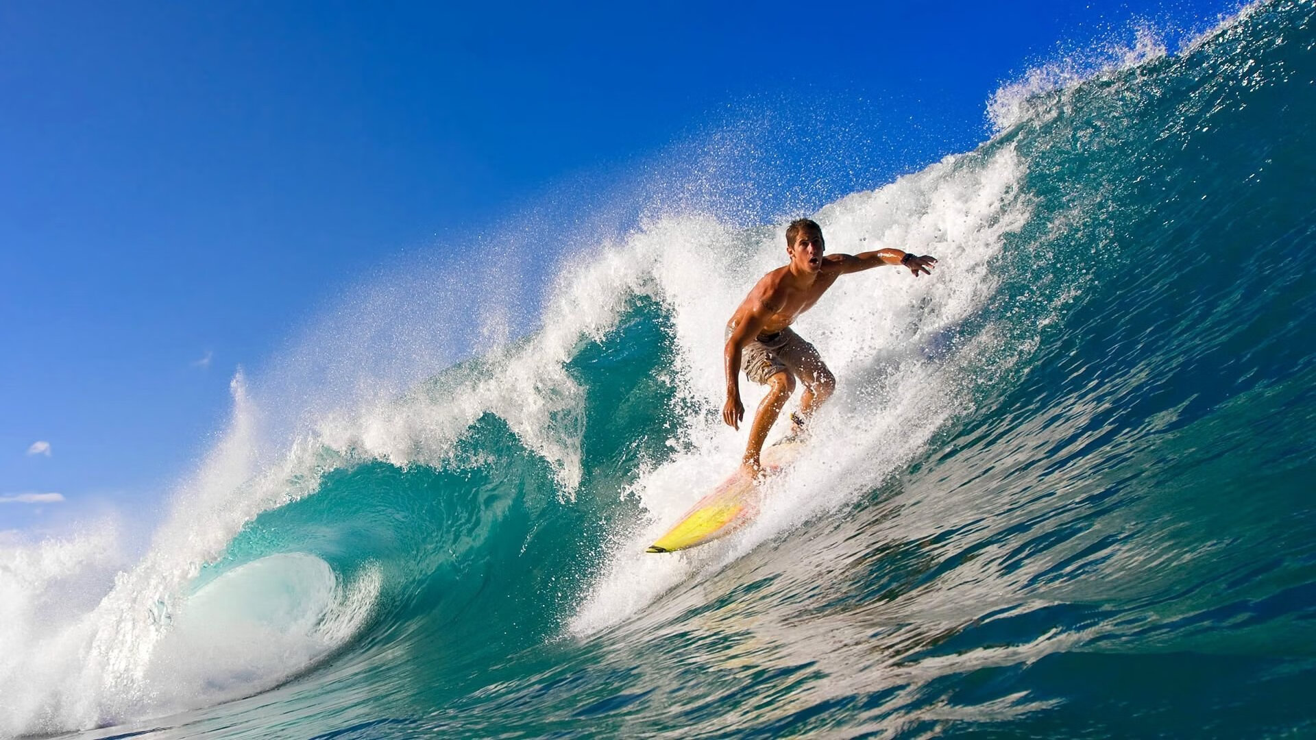 同步封神,当F1争冠夜遇见福登里程碑